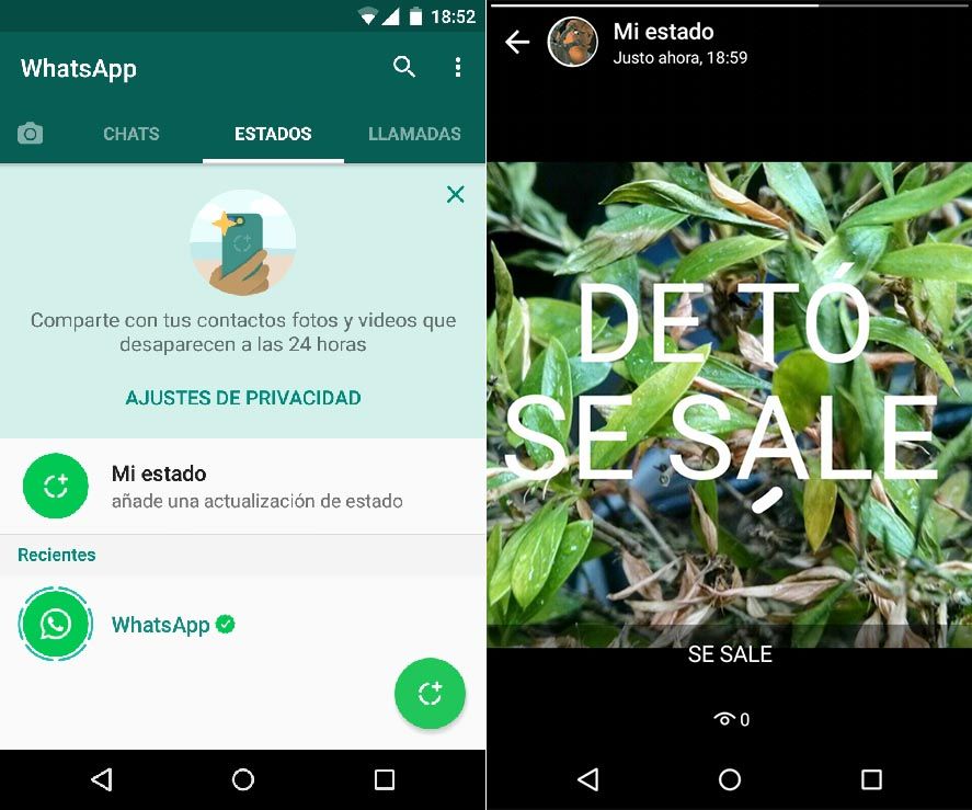 whatsapp estados screenshot 2 Ya están disponibles los nuevos estados de WhatsApp